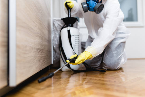 Best Residential Pest Control  in Roseau, MN