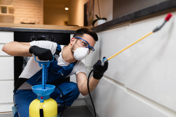 Best Pest Removal Services  in Roseau, MN