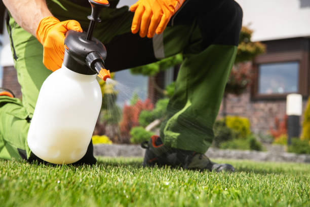 Best Commercial Pest Control Services  in Roseau, MN
