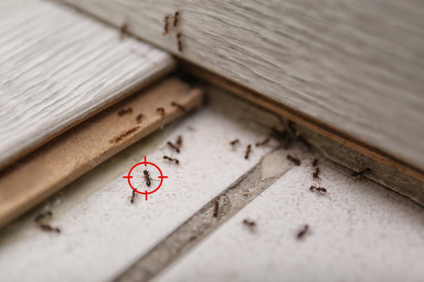 Best Wildlife Control Services  in Roseau, MN