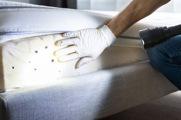 Best Wildlife Control Services  in Roseau, MN