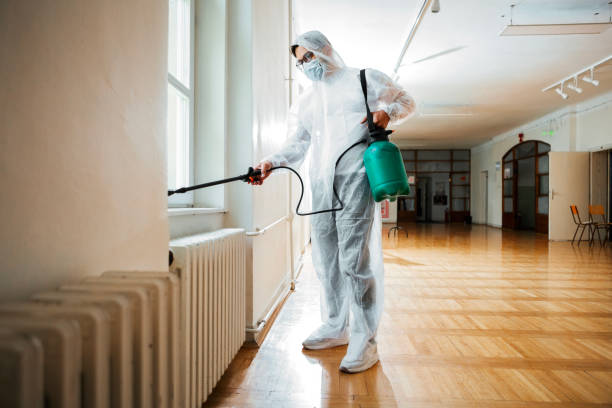Flea Control Services in Roseau, MN