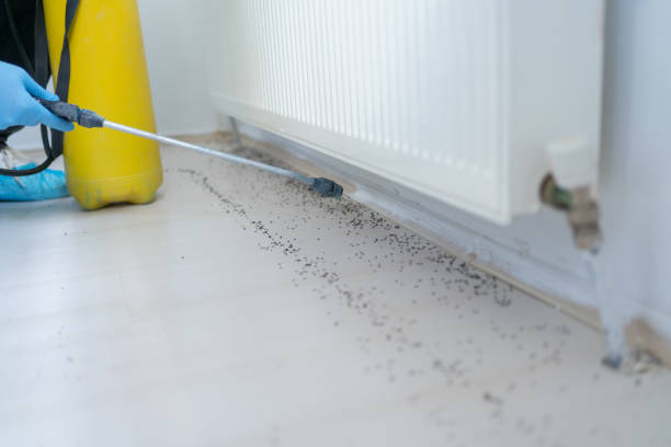 Best Affordable Pest Control Services  in Roseau, MN