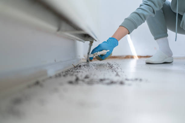 Best Exterminator Services  in Roseau, MN