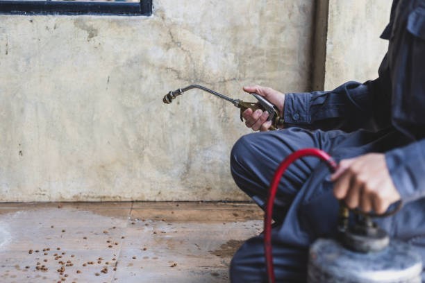 Best Pest Prevention Services  in Roseau, MN
